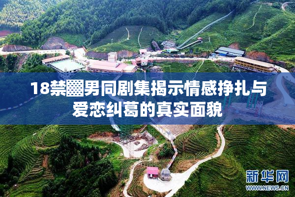18禁▓男同剧集揭示情感挣扎与爱恋纠葛的真实面貌