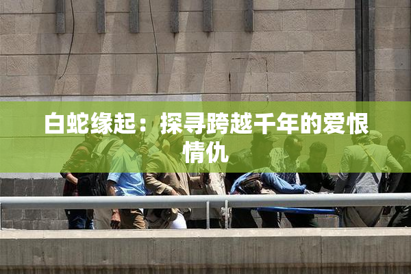 白蛇缘起：探寻跨越千年的爱恨情仇