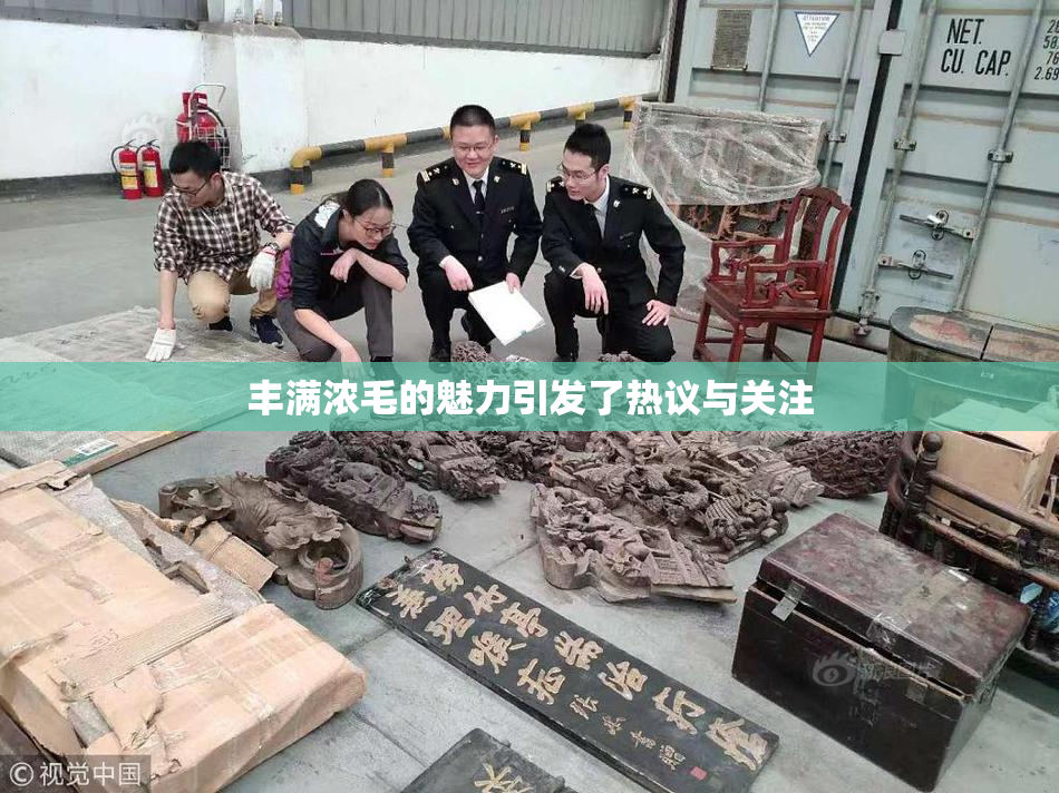 丰满浓毛的魅力引发了热议与关注