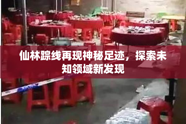 仙林踪线再现神秘足迹，探索未知领域新发现