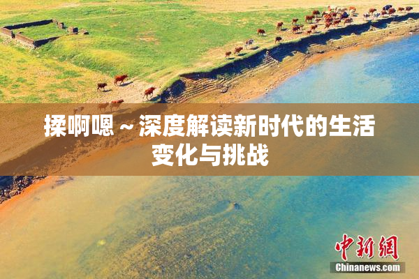 揉啊嗯～深度解读新时代的生活变化与挑战
