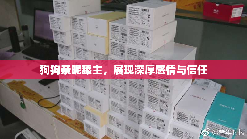 狗狗亲昵舔主，展现深厚感情与信任