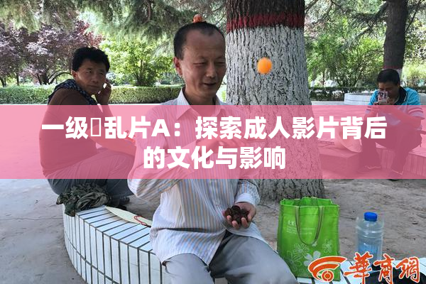 一级婬乱片A：探索成人影片背后的文化与影响