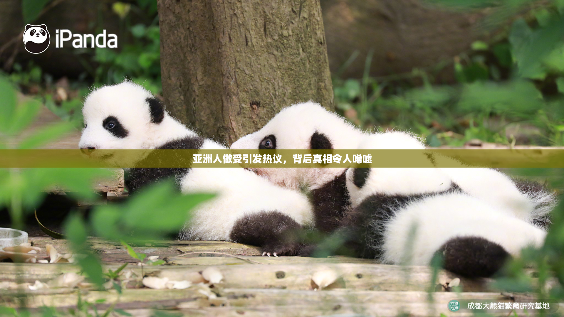 亚洲人做受引发热议，背后真相令人唏嘘