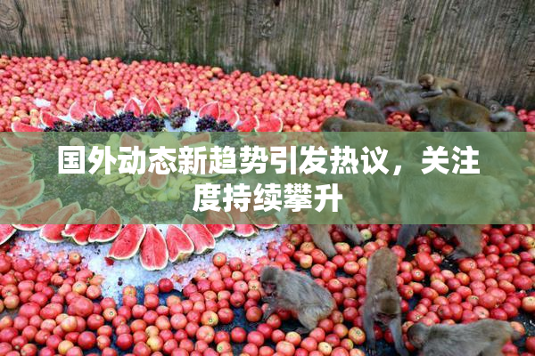 国外动态新趋势引发热议，关注度持续攀升