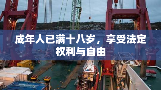 成年人已满十八岁，享受法定权利与自由
