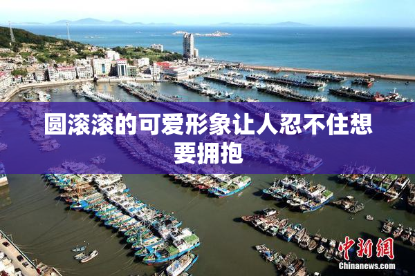 圆滚滚的可爱形象让人忍不住想要拥抱