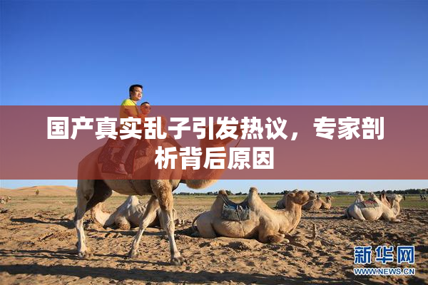 国产真实乱子引发热议，专家剖析背后原因