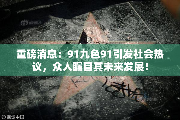 重磅消息：91九色91引发社会热议，众人瞩目其未来发展！