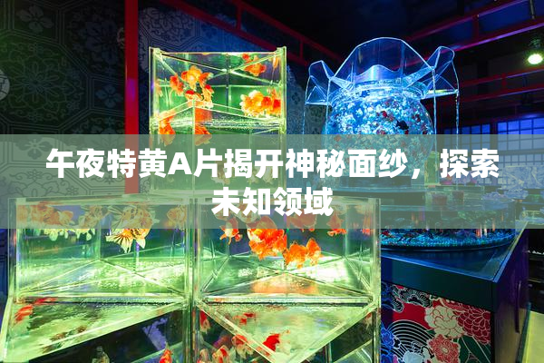 午夜特黄A片揭开神秘面纱，探索未知领域