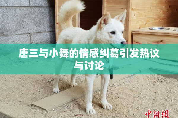 唐三与小舞的情感纠葛引发热议与讨论