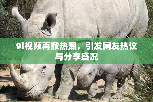 9l视频再掀热潮，引发网友热议与分享盛况