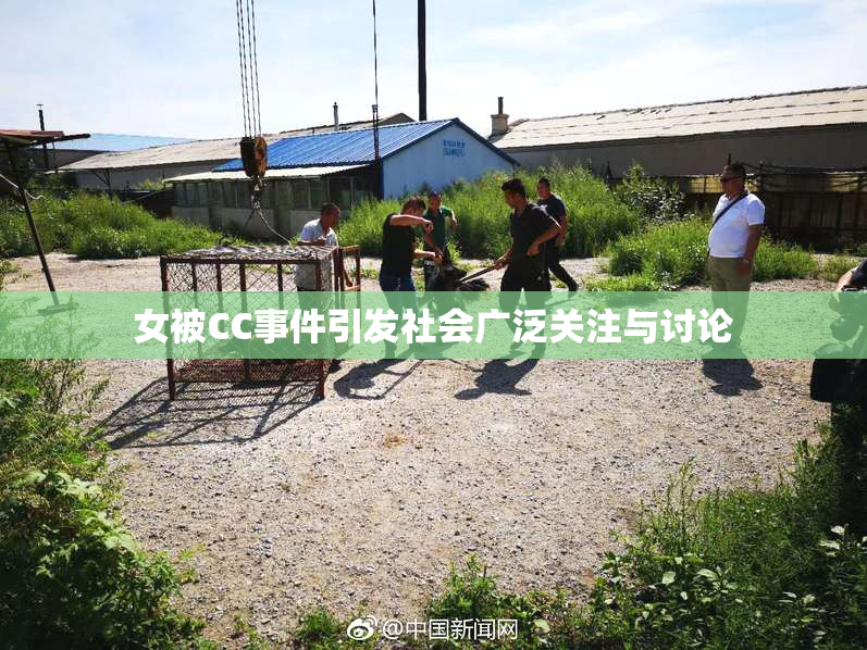 女被CC事件引发社会广泛关注与讨论