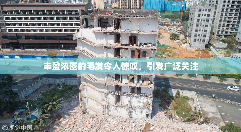 丰盈浓密的毛发令人惊叹，引发广泛关注