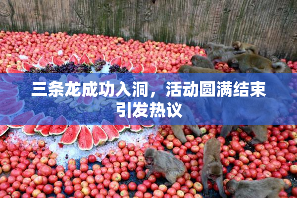 三条龙成功入洞，活动圆满结束引发热议