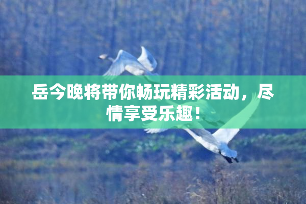 岳今晚将带你畅玩精彩活动，尽情享受乐趣！