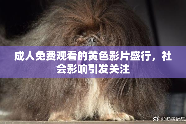 成人免费观看的黄色影片盛行，社会影响引发关注