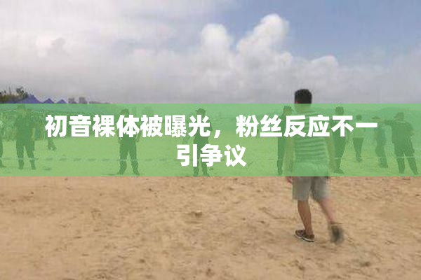 初音裸体被曝光，粉丝反应不一引争议