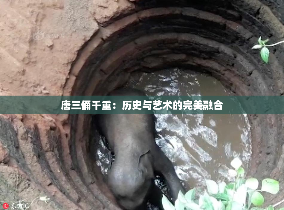 唐三俑千重：历史与艺术的完美融合