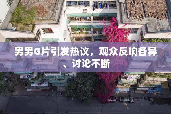 男男G片引发热议，观众反响各异、讨论不断