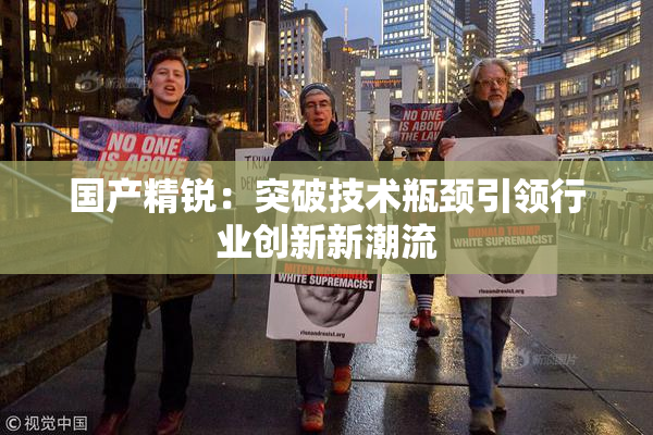 国产精锐：突破技术瓶颈引领行业创新新潮流