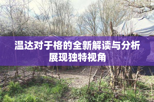 温达对于格的全新解读与分析展现独特视角