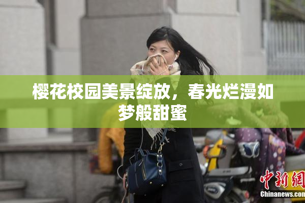 樱花校园美景绽放，春光烂漫如梦般甜蜜