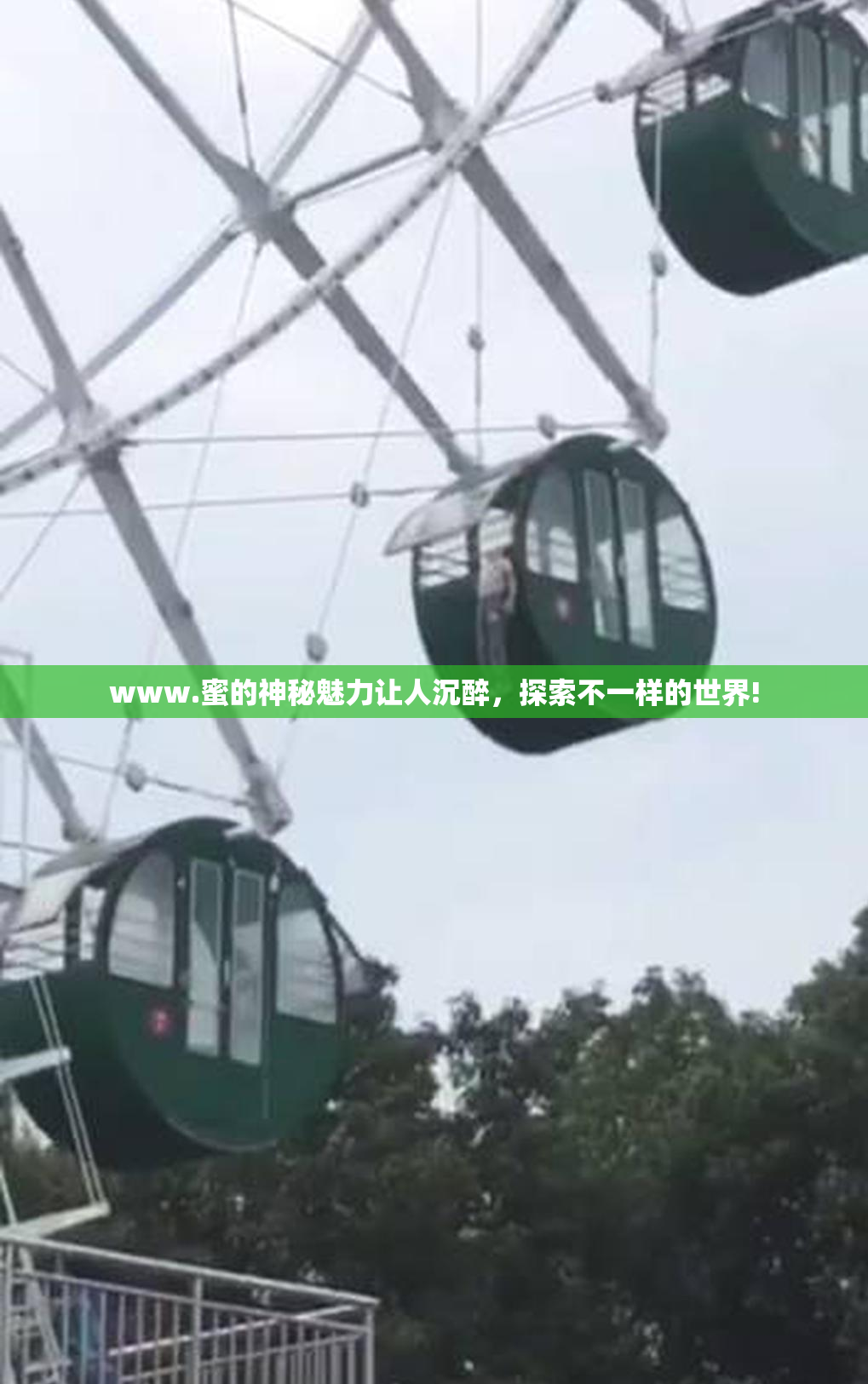 www.蜜的神秘魅力让人沉醉，探索不一样的世界!