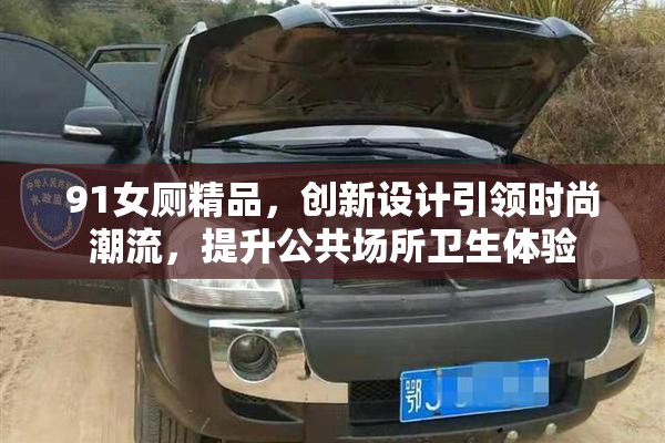 91女厕精品，创新设计引领时尚潮流，提升公共场所卫生体验