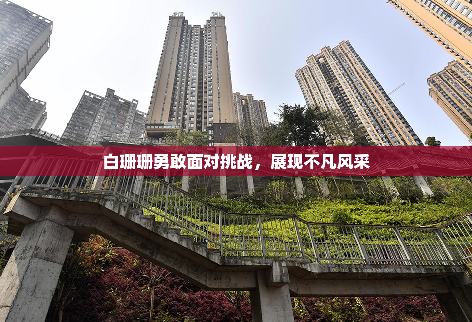 白珊珊勇敢面对挑战，展现不凡风采