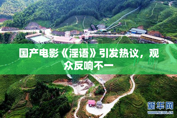 国产电影《淫语》引发热议，观众反响不一