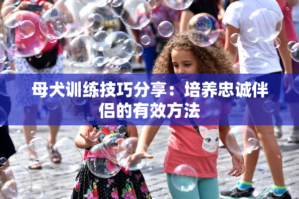母犬训练技巧分享：培养忠诚伴侣的有效方法