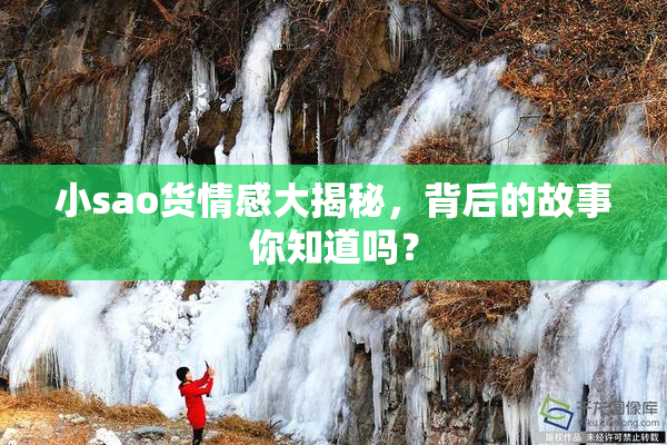 小sao货情感大揭秘，背后的故事你知道吗？