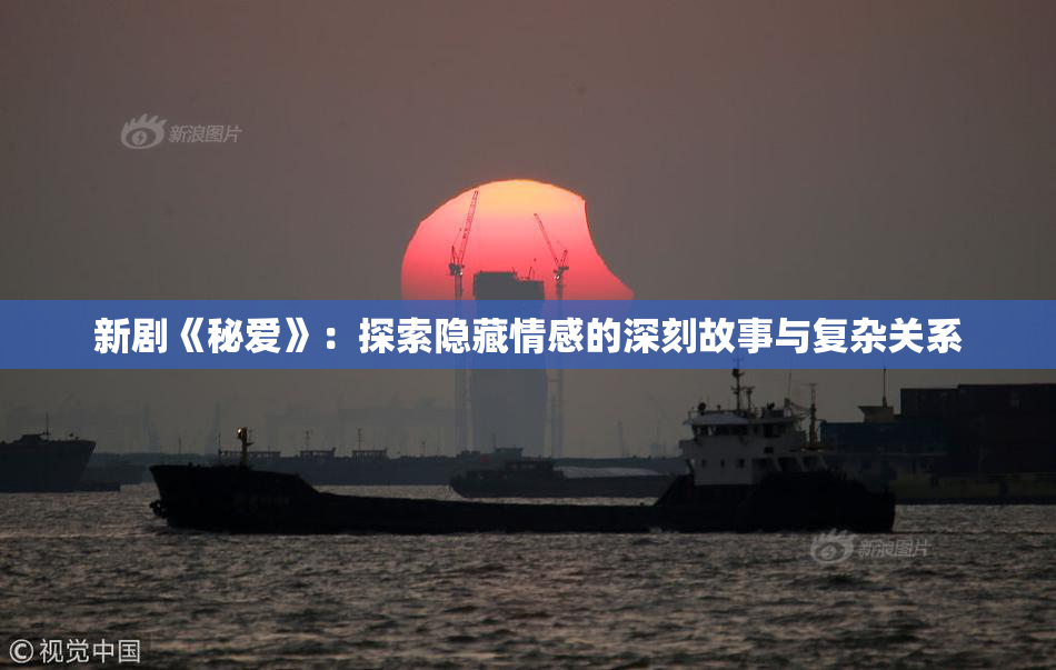 新剧《秘爱》：探索隐藏情感的深刻故事与复杂关系