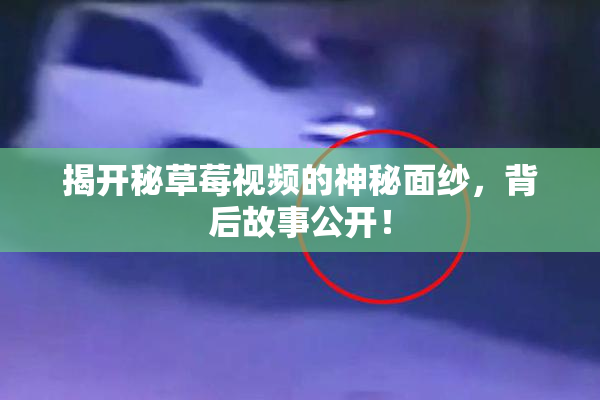 揭开秘草莓视频的神秘面纱，背后故事公开！