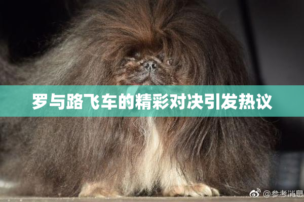 罗与路飞车的精彩对决引发热议