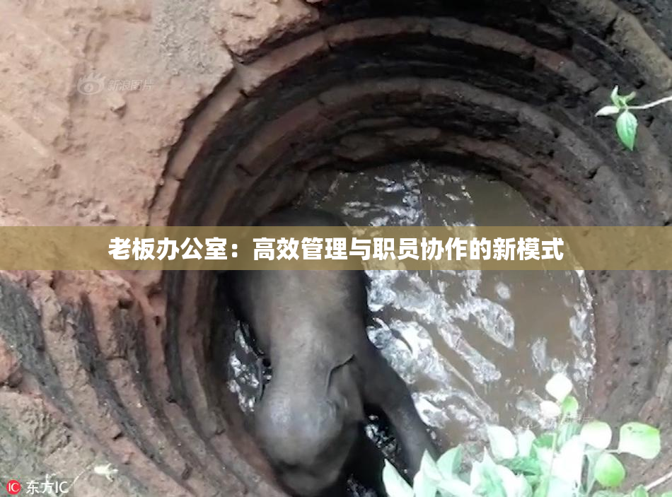 老板办公室：高效管理与职员协作的新模式