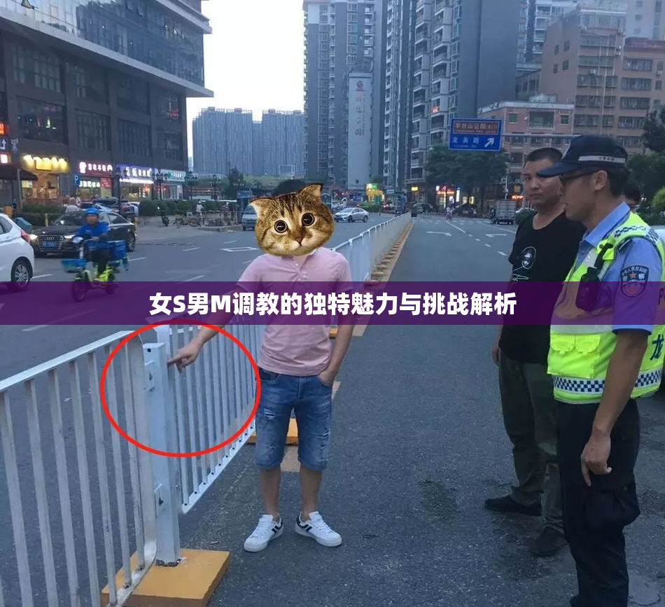 女S男M调教的独特魅力与挑战解析