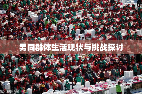 男同群体生活现状与挑战探讨