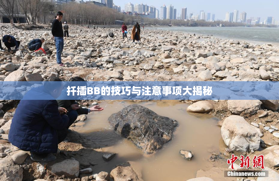 扦插BB的技巧与注意事项大揭秘