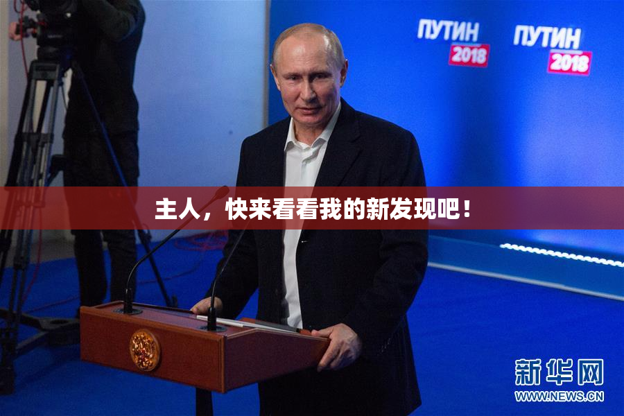 主人，快来看看我的新发现吧！