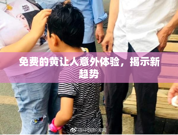 免费的黄让人意外体验，揭示新趋势