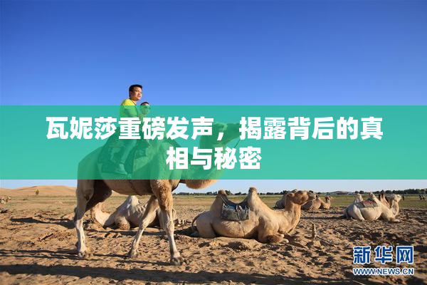 瓦妮莎重磅发声，揭露背后的真相与秘密