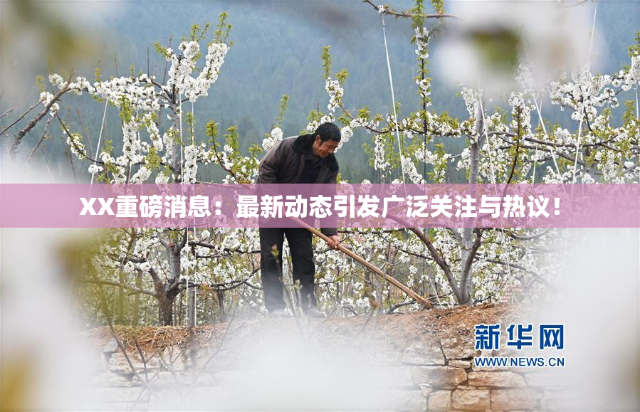 XX重磅消息：最新动态引发广泛关注与热议！