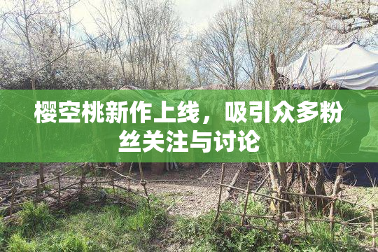 樱空桃新作上线，吸引众多粉丝关注与讨论