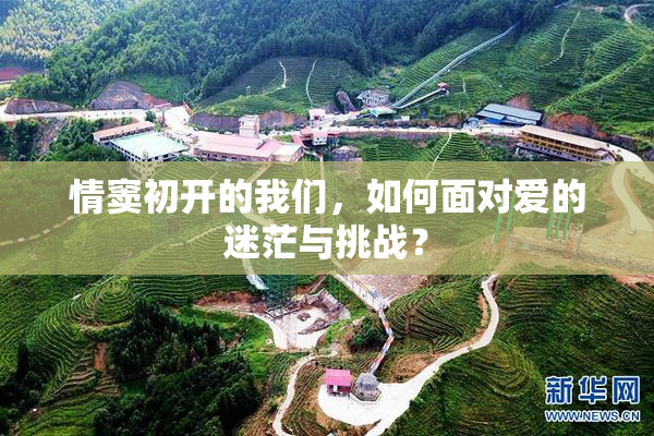 情窦初开的我们，如何面对爱的迷茫与挑战？