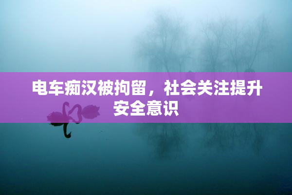 电车痴汉被拘留，社会关注提升安全意识