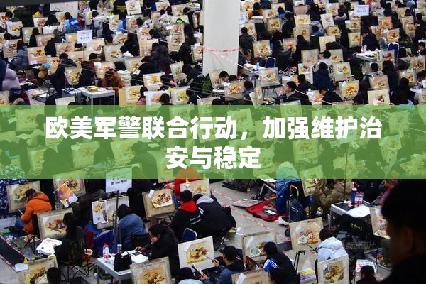 欧美军警联合行动，加强维护治安与稳定