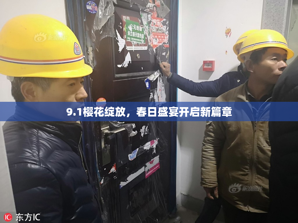 9.1樱花绽放，春日盛宴开启新篇章