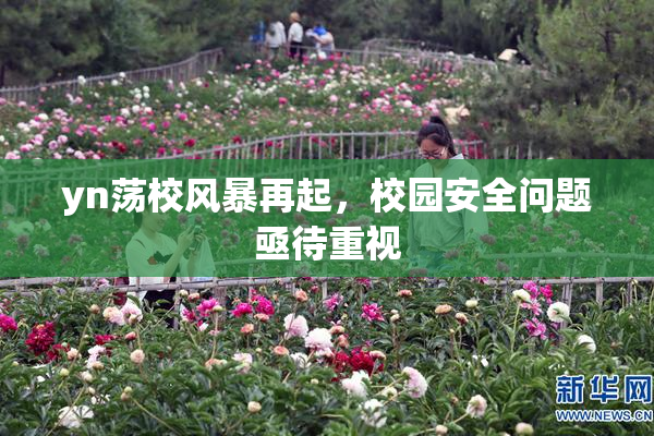 yn荡校风暴再起，校园安全问题亟待重视